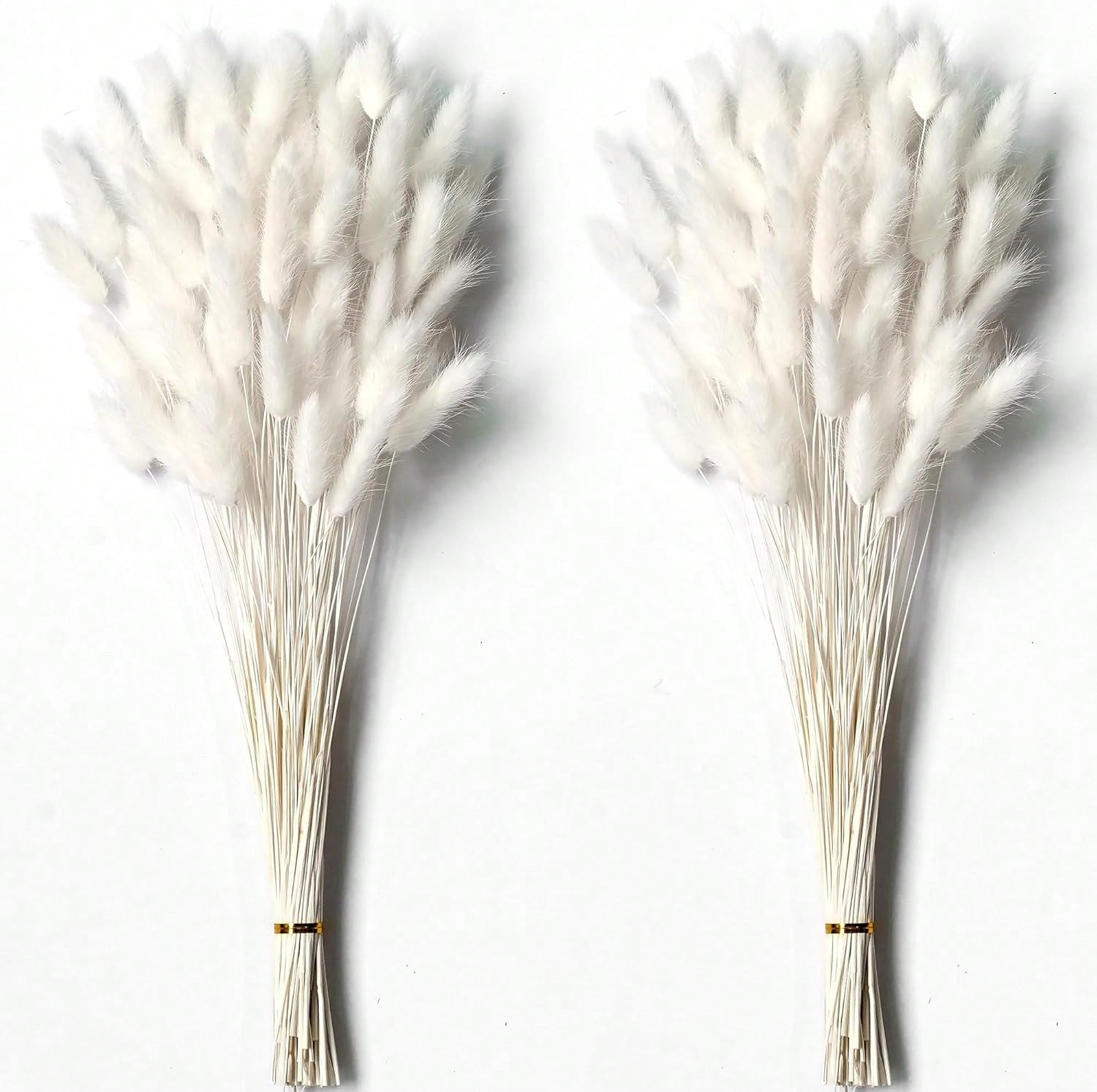Pampas Grass Decor - 120 pçs secas pampas grama decoração