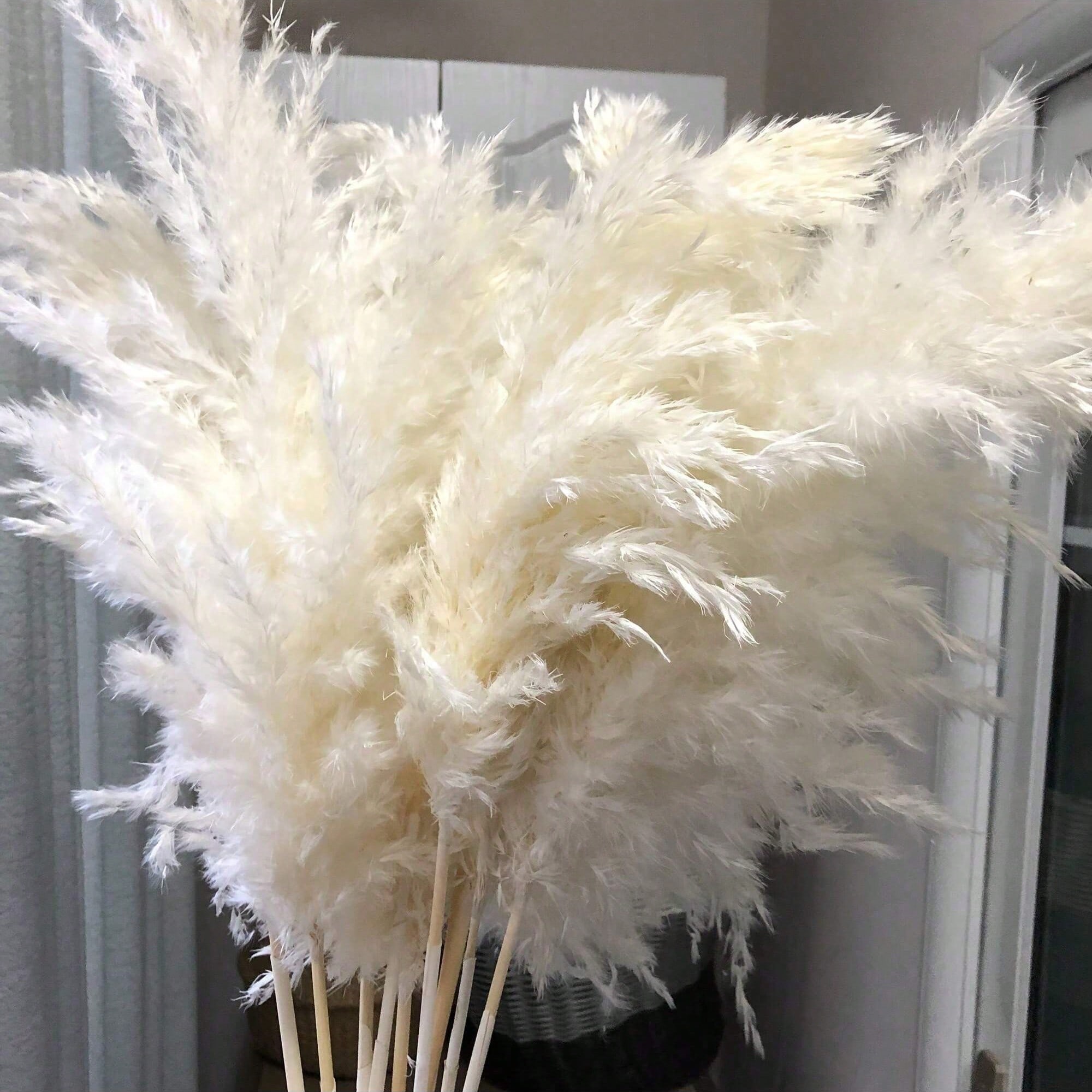 Pampas Grass Decor - 10/20/30 peças de Grama Pampas Artificial