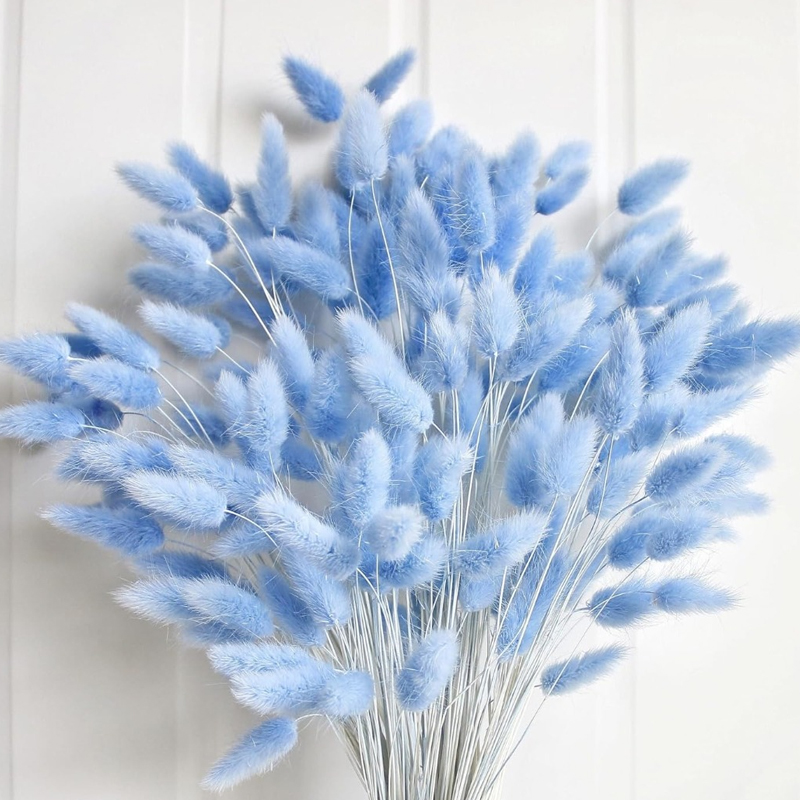 Pampas Grass Decor - 100 pçs azul lebre-cauda grama coelho