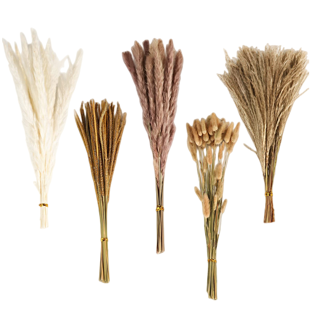 Buquê de Flores Secas Mistas V - Pampas Grass Decor avaliação e preço