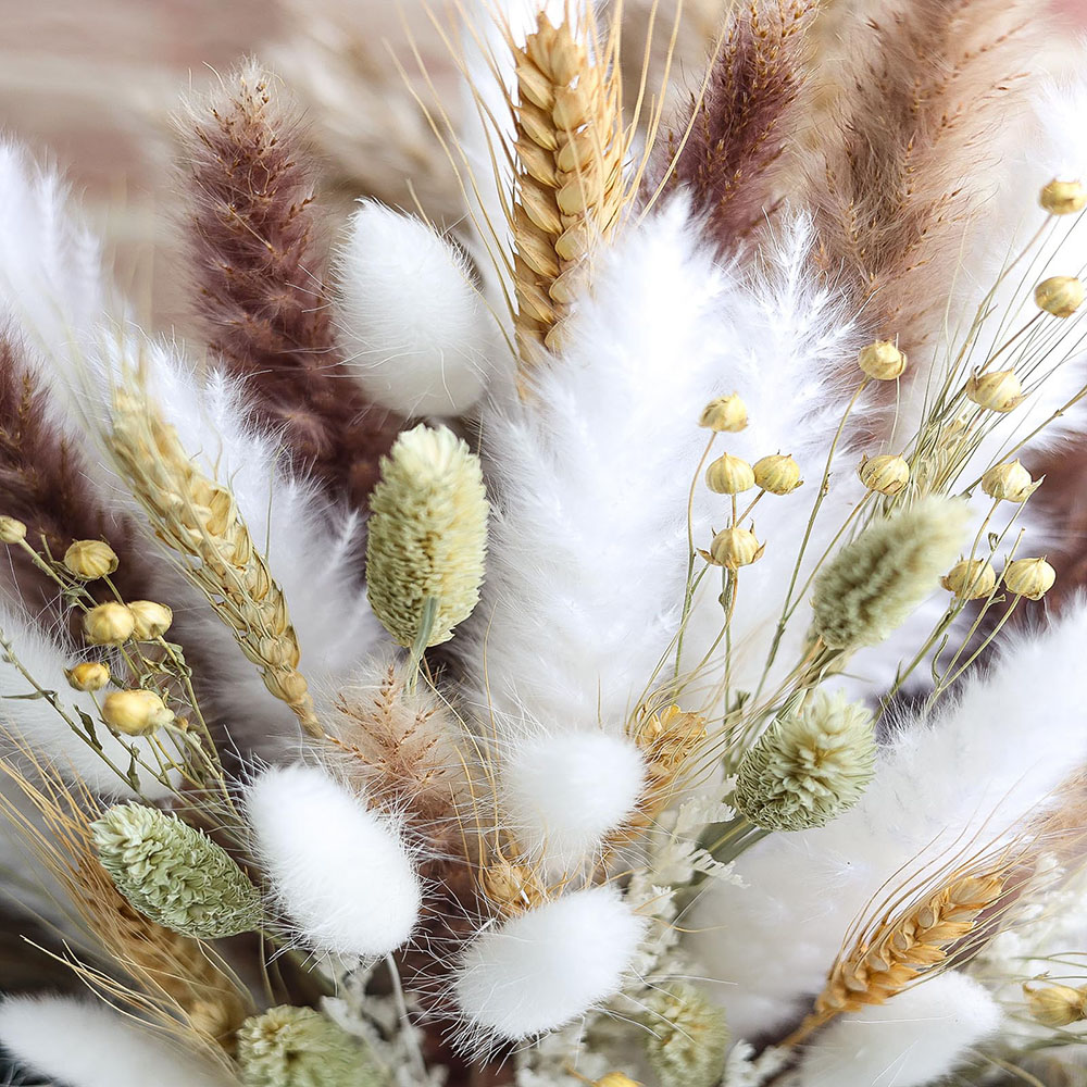 Buquê de grama de pampas secas - Pampas Grass Decor avaliação e preço