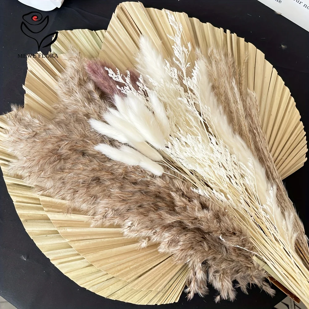 35 pçs natural pampas grama bo - Pampas Grass Decor avaliação e preço