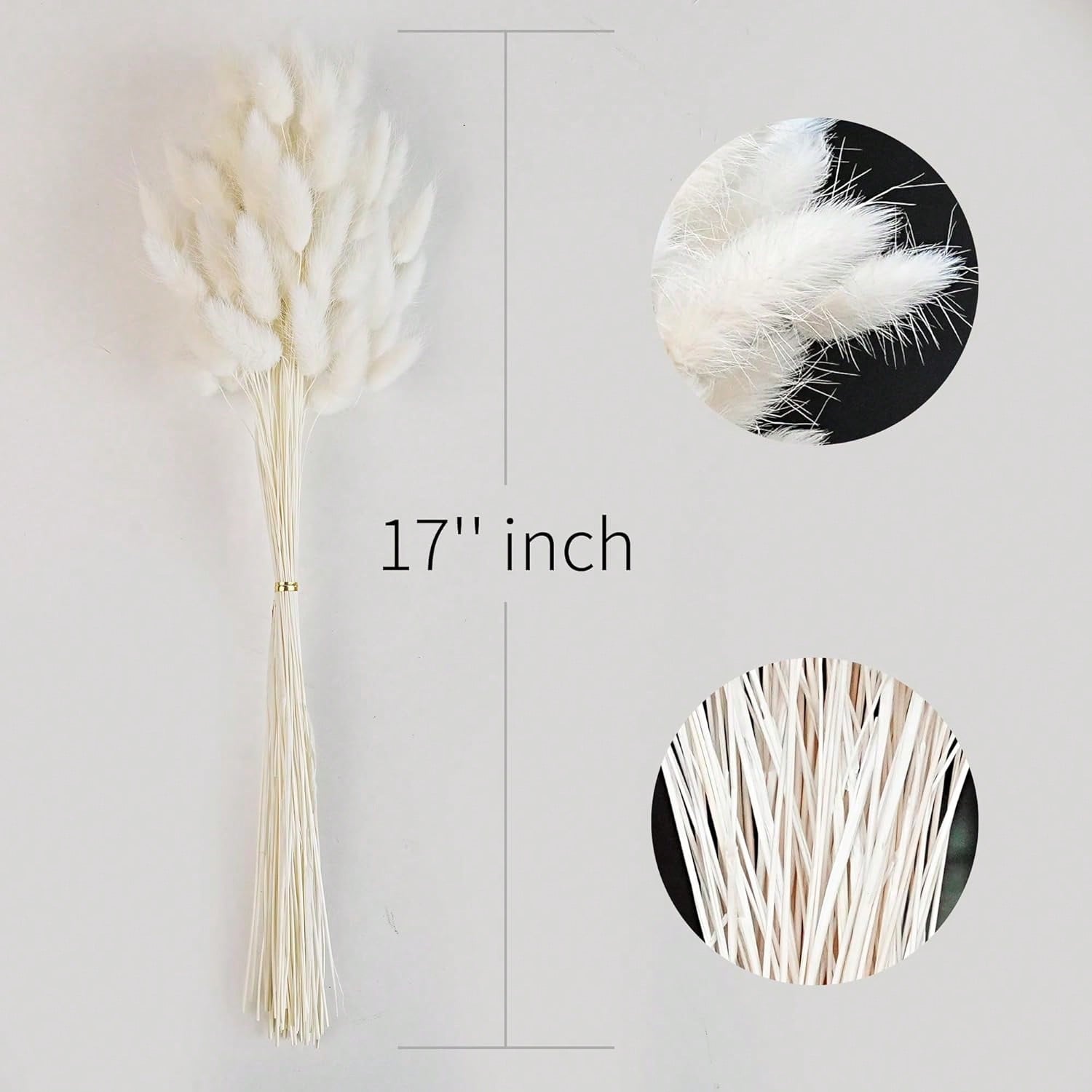 120 pçs secas pampas grama dec - Pampas Grass Decor avaliação e preço