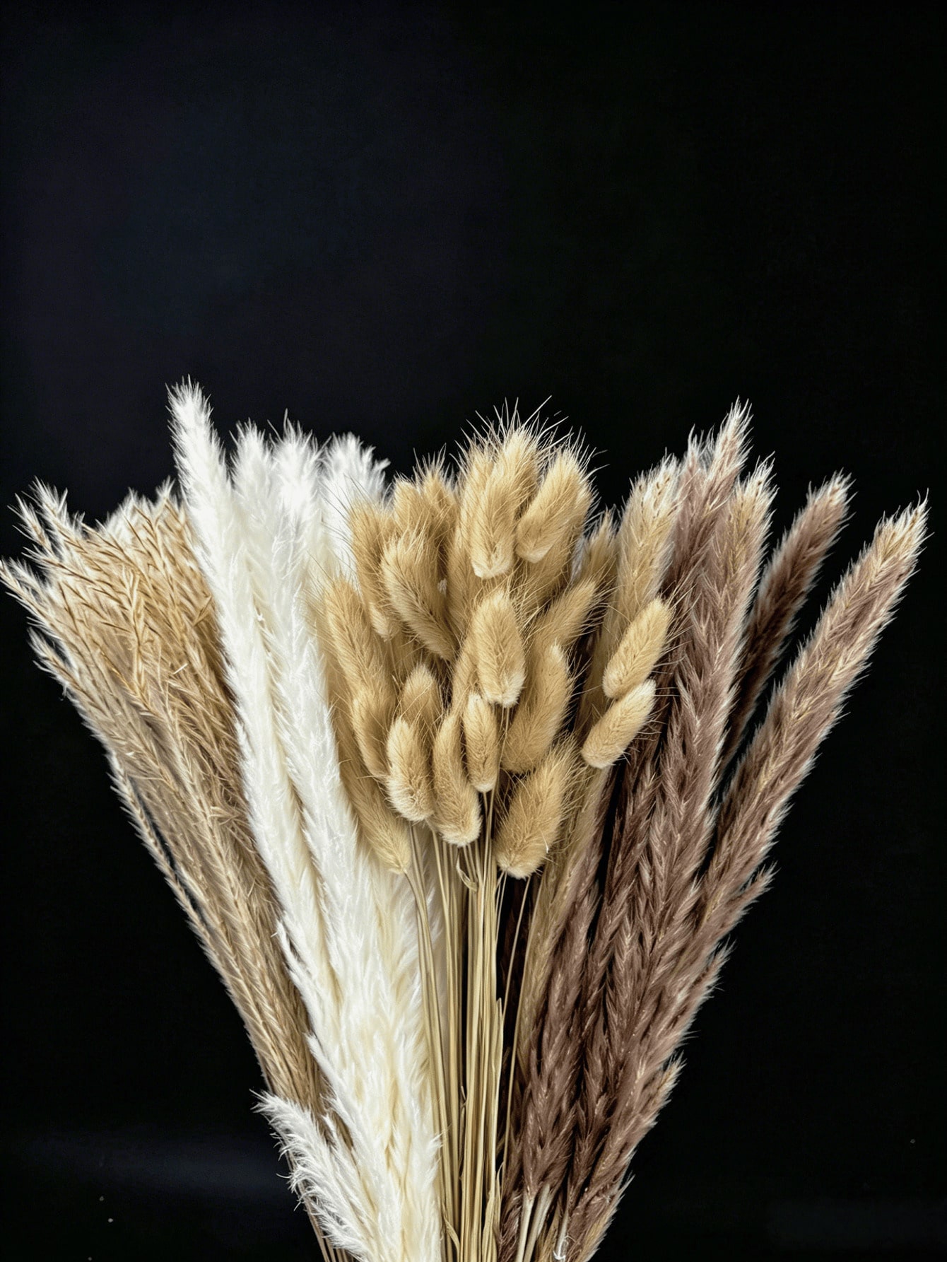 10/20/30 peças de Grama Pampas - Pampas Grass Decor avaliação e preço