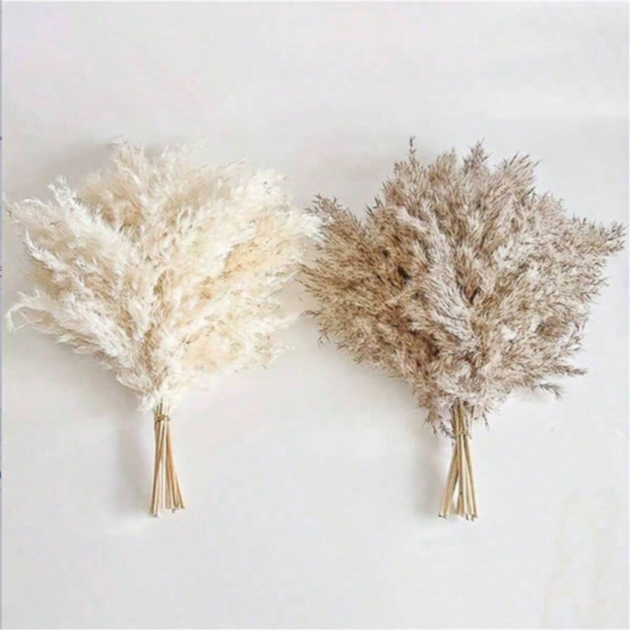 10/20/30 peças de Grama Pampas - Pampas Grass Decor avaliação e preço